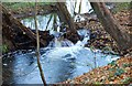 Miniature waterfalls in the Hoo Brook, Spennells Valley Nature Reserve, Spennells, Kidderminster