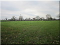 Public Footpath at Bulkeleyhay