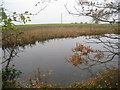 Pond by the roadside, Leadenham