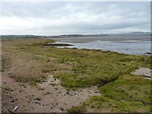 NO4818 : Salt marshes and mud flats by James Allan