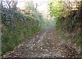 Bridleway, Headborough