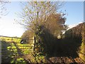 Bridleway from Headborough