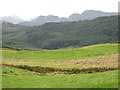 Creigiau Gleision from the Gwydir Forest