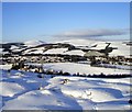 Winter over Selkirk