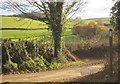 Lane near Baddaford