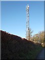 Communications mast by Folly Lane