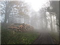 Log stack near Eastwood Cottages