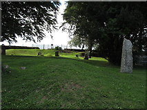 N9259 : The graveyard of the deconsecrated St Patrick's CoI Parish Church at Tara by Eric Jones