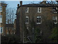 Rear view of houses on The Avenue, Brondesbury