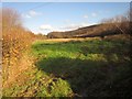 SX7866 : Field below Hunland Copse by Derek Harper