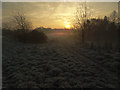 A winter morning on Blackheath