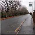 Sycamore Avenue bus stop, Bulwark, Chepstow