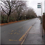 ST5392 : Sycamore Avenue bus stop, Bulwark, Chepstow by Jaggery