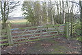 Footpath to Stapleford Wood