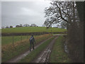 Beckfoot Lane approaching Appleby Road