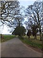 Access road for farm buildings at Nethway House