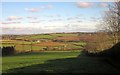 View from Kingston Gate Cross