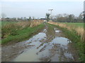 Muddy Footpath