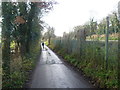 Whitehall Road alongside the railway line