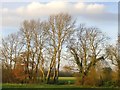 View towards Marsh Meadow from the Cookham Moor causeway