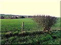 Knockaraven Townland