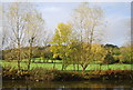 Looking across the Grand Union Canal