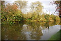 Reflections in the canal