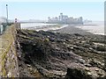 Rocky Shore below Claremont Crescent