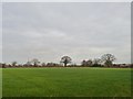 Farmland south-west of Spen Moss Farm