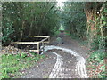 Drain on the path between Highford Lane and Causey Hill Way