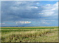TF4750 : Flat reclaimed farmland at New Marsh by Mat Fascione