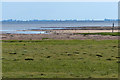 TF4750 : Salt marsh and mud flats on The Wash coast by Mat Fascione