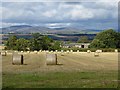 Round bales, Glamis