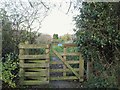 Gate on path by Causey Hill Way