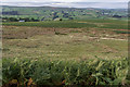 Moorland near Begwyns Roundabout