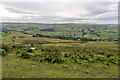 Moorland near Begwyns Roundabout