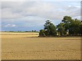 Arable land near Todhills