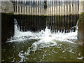 In Lincomb Lock, Worcestershire