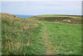 SM8601 : Pembrokeshire Coastal Path by N Chadwick