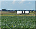 TF4550 : Three trailers and flat farmland by Mat Fascione