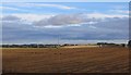 Potato field, Newbigging