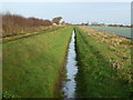 TF1904 : Dike crossing Newborough Fen by Richard Humphrey