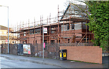 J3775 : Palmerston housing site, Belfast (5 in 2013) by Albert Bridge