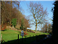 Nut Wood in Gatton Park