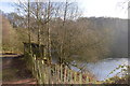 Bird hide at Brocton Pool