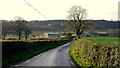 Country lane to Wootton Farm