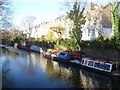 The Hanging Gardens of Islington