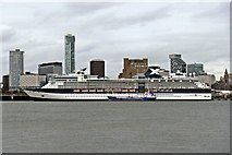 SJ3390 : Celebrity Infinity, Liverpool Cruise Terminal by El Pollock
