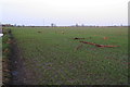 The Ouse woz here: December 5th storm and tidal surge