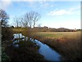 Winter time-the River Ivel near Blunham